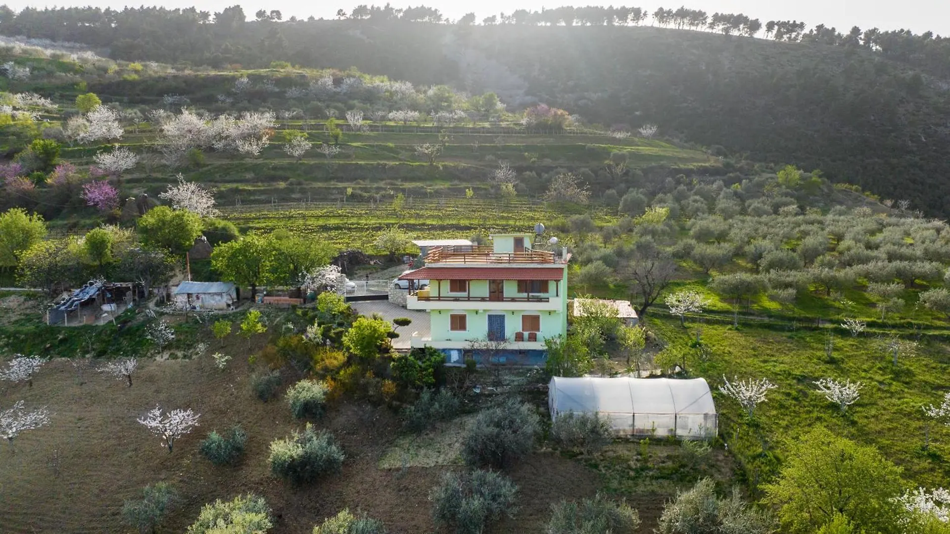Vila Dean Berat