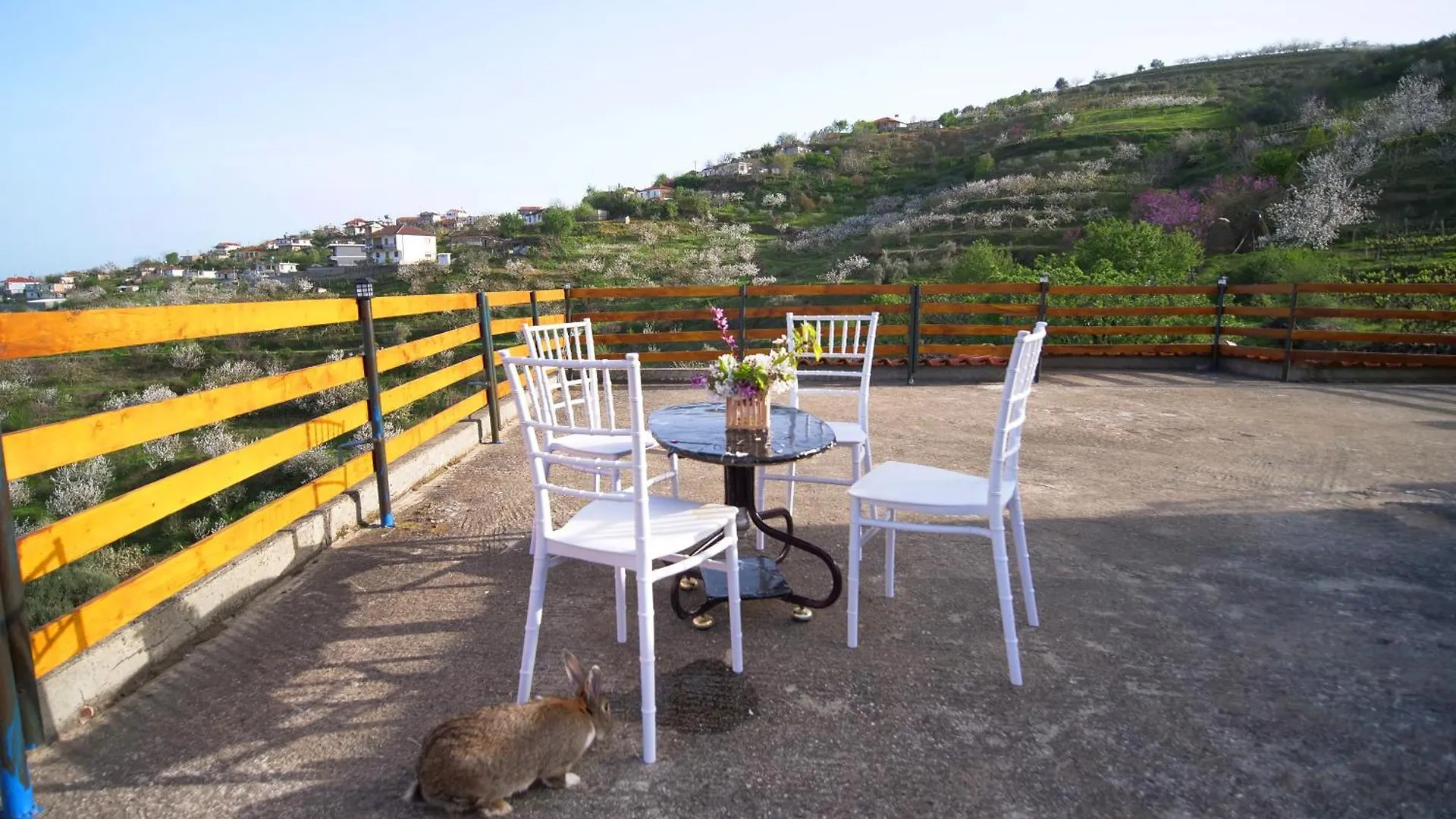 Apartment Vila Dean Berat Albania
