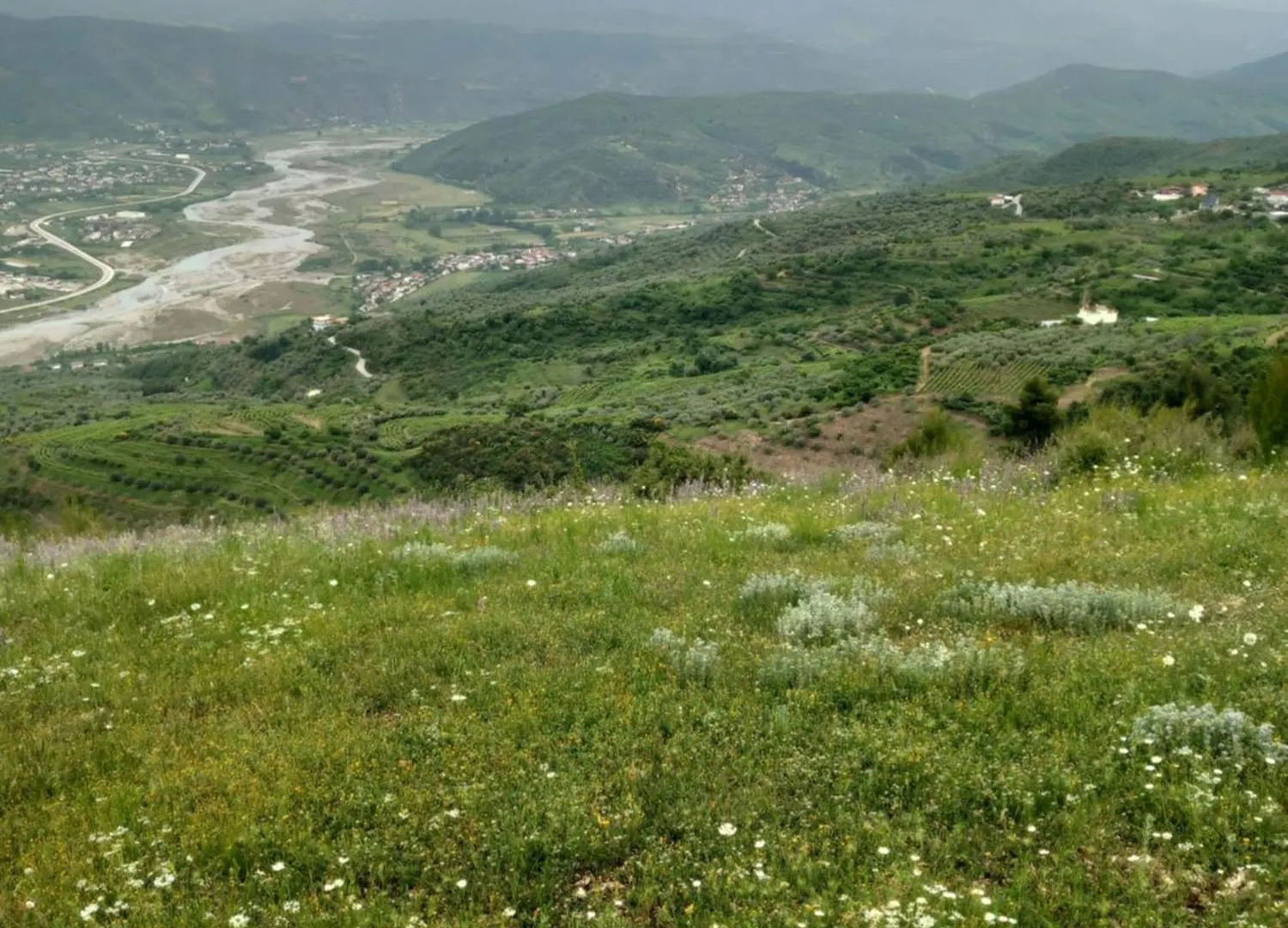 Vila Dean Berat