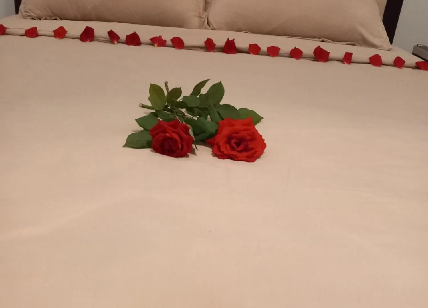 Apartment Vila Dean Berat Albania